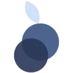 Minimal site icon for Creative Berry Co., designed as a simplified brand mark for browser tabs and app icons.