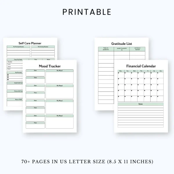 Product image of That Girl Planner with pages for routines, wellness, productivity, and daily self-improvement tracking.